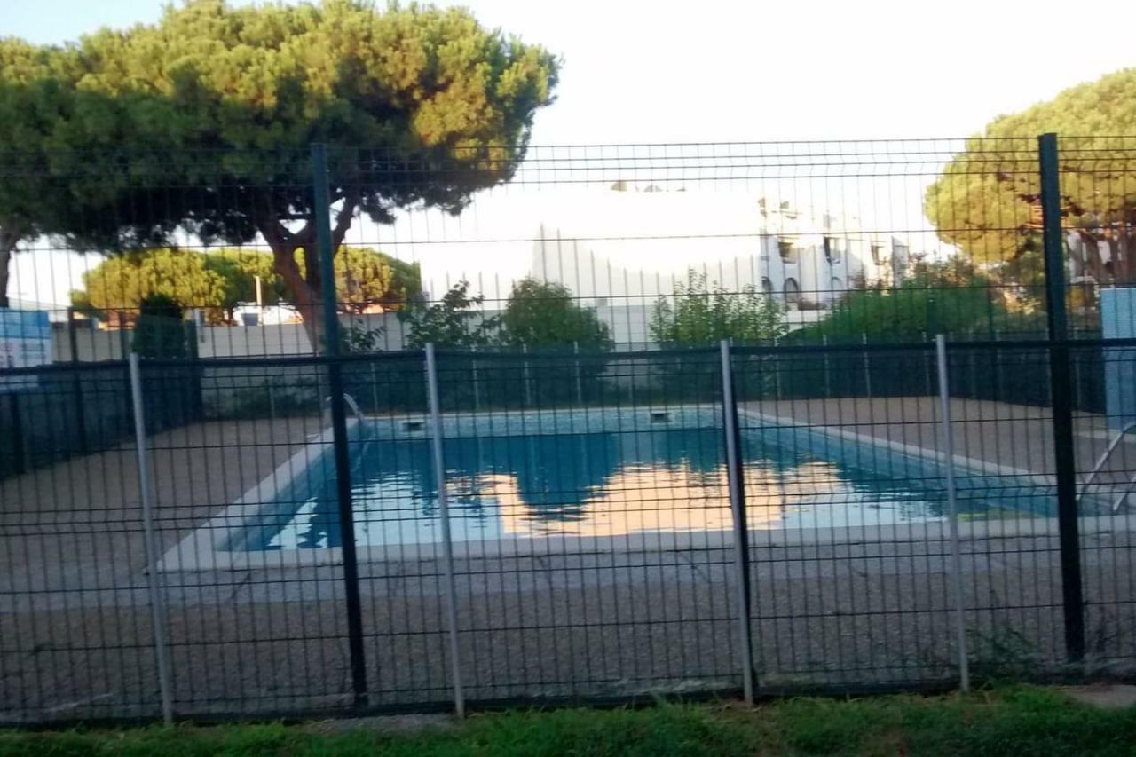 Studio Avec Piscine - Proche Mer - 27M2 Le Grau-du-Roi Buitenkant foto